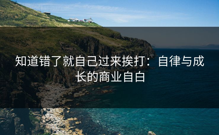 知道错了就自己过来挨打：自律与成长的商业自白