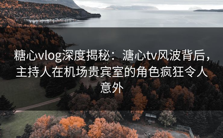 糖心vlog深度揭秘：溏心tv风波背后，主持人在机场贵宾室的角色疯狂令人意外