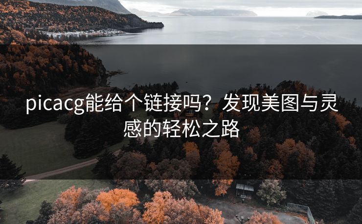 picacg能给个链接吗？发现美图与灵感的轻松之路
