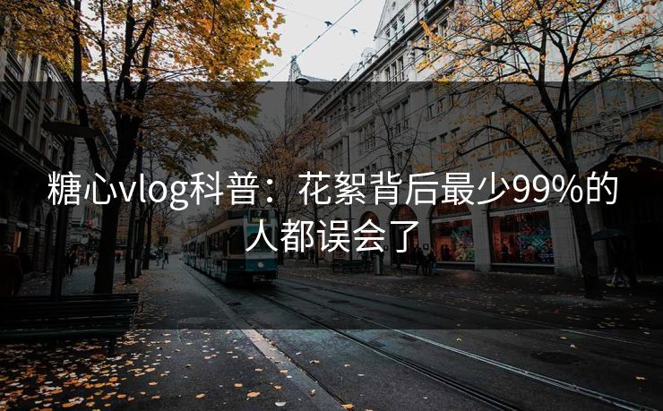 糖心vlog科普:花絮背后最少99%的人都误会了 糖心vlog科普:花絮背后最少99%的人都误会了
