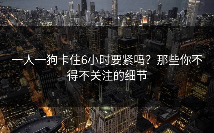 一人一狗卡住6小时要紧吗?那些你不得不关注的细节 一人一狗卡住6小时要紧吗?那些你不得不关注的细节